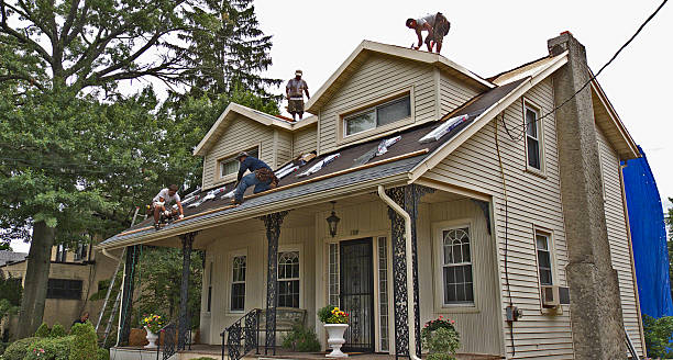Best Local Roofing Companies  in Tama, IA